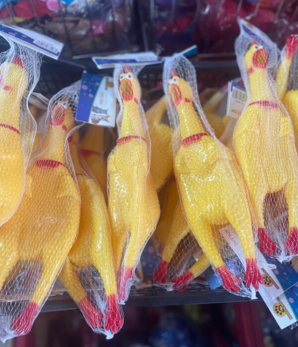 Squeaky chicken Çığlık atan tavuk