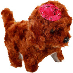 şapkalı pilli köpek